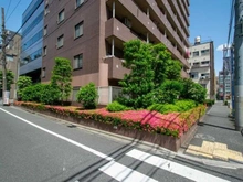 【東京都/文京区本郷】藤和シティホームズ本郷 前面道路