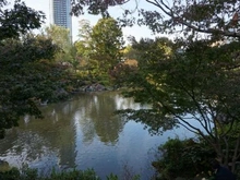 【東京都/港区西麻布】秀和麻布笄町レジデンス 檜町公園（現地より約1,400m）