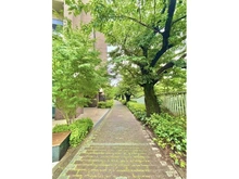 【東京都/豊島区高田】ブリリアシティ西早稲田 A棟 敷地内