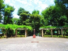 【東京都/文京区大塚】マンション小石川台  大塚公園（現地より約80m）