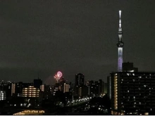【東京都/墨田区立花】ソルフィエスタ亀戸ルシーア 眺望