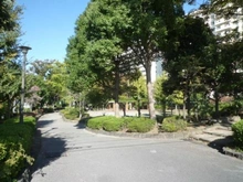 【東京都/墨田区立花】ソルフィエスタ亀戸ルシーア 立花公園（現地より約550m）