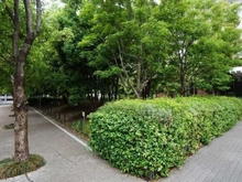 【東京都/台東区西浅草】浅草タワー 敷地内