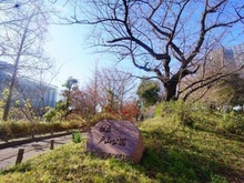 【東京都/新宿区大久保】GSハイム新大久保 戸山公園（現地より約750m）