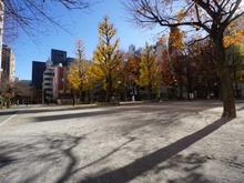 【東京都/台東区東上野】ルジェンテ・リベル上野稲荷町  西町公園（現地より約900m）