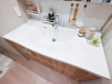 【埼玉県/川口市飯塚】コスモ川口リバーステージ 洗面室