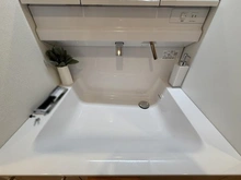 【埼玉県/川口市川口】ダイアパレス川口 洗面室