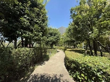 【埼玉県/川口市川口】リビオタワー川口ミドリノ 敷地内