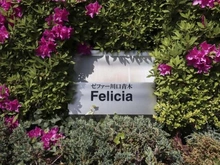 【埼玉県/川口市青木】ゼファー川口青木フェリシア マンション表札