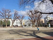 【埼玉県/川口市並木】プレミスト川口並木  並木町東児童遊園（現地より約180m）