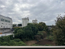 【神奈川県/川崎市高津区久地】セボンコリネールエストエール 眺望