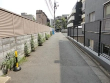 【東京都/渋谷区桜丘町】ヴィラ桜ヶ丘 前面道路