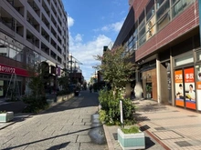 【神奈川県/横浜市港北区綱島西】パーク・ノヴァ綱島 前面道路