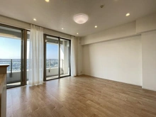 【神奈川県/川崎市高津区久本】ザ・タワー&パークス田園都市溝の口 LDK