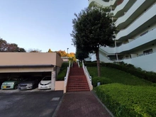 【神奈川県/海老名市杉久保北】南えびな杉久保サンパルク650 C街区6号 アプローチ