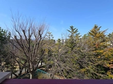 【東京都/町田市鶴川】鶴川6丁目団地6-8 　18号棟 眺望：西側バルコニーより