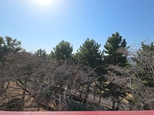 【東京都/町田市鶴川】鶴川6丁目団地6-8 　18号棟 眺望：南側バルコニーより