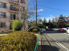 【東京都/町田市鶴川】鶴川6丁目団地6-8 　18号棟 前面道路