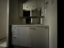 【神奈川県/川崎市高津区末長】セブンフォレストヒルメイプルコート 洗面所