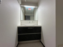 【神奈川県/大和市上和田】ダイアパレス桜が丘 洗面所