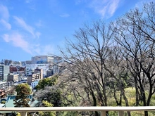 【神奈川県/川崎市高津区溝口】東急ドエル・アルス溝口ヒルトップステージ 眺望