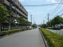 【東京都/八王子市散田町】センチュリーめじろ台 前面道路