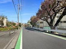 【神奈川県/横浜市旭区東希望が丘】希望ヶ丘グリーンハイツ 1号棟 前面道路