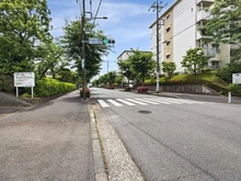 【神奈川県/横浜市青葉区鴨志田町】グリーンヒル鴨志⽥東団地 3号棟 前面道路