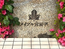 【神奈川県/川崎市宮前区菅生】メイプル宮前平 マンション表札