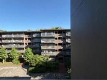 【神奈川県/横浜市都筑区荏田南】かしの木台ハイツ 6号棟 眺望