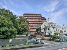 【神奈川県/川崎市高津区東野川】ハイホーム鷺沼東 前面道路