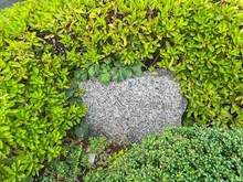 【神奈川県/川崎市高津区久地】バンベール高津 マンション表札