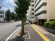 【神奈川県/川崎市宮前区宮崎】東急ドエル宮崎台バーズビレジ A棟 前面道路