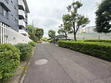 【神奈川県/横浜市青葉区すすき野】すすきの第2団地第1住宅 8-14号棟 前面道路
