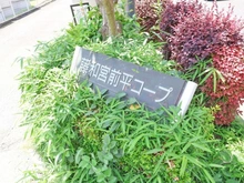 【神奈川県/川崎市宮前区平】藤和宮前平コープ マンション表札