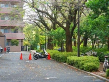 【東京都/新宿区上落合】レクセル下落合第1 敷地内