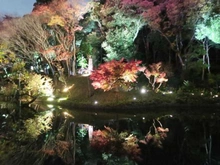 【東京都/新宿区西早稲田】BELISTA早稲田 肥後細川庭園（現地より約50m）：