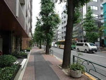 【東京都/新宿区下落合】インプレスト目白ヒルズ 前面道路