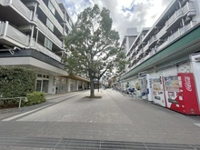 【東京都/板橋区赤塚新町】光が丘パークタウンゆりの木通り北 10号棟 敷地内