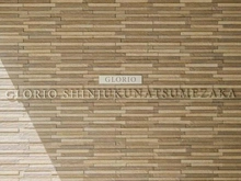 【東京都/新宿区原町】グローリオ新宿夏目坂 マンション表札