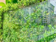 【東京都/新宿区西早稲田】ベリスタ早稲田 マンション表札