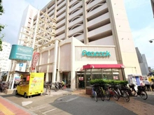 【東京都/新宿区中落合】セザール目白 ピーコックストア目白店（現地より約700m）