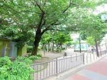 【東京都/新宿区中落合】セザール目白 区立下落合公園（現地より約350m）