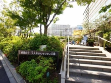 【東京都/新宿区大久保】スカイフォレストレジデンス  大久保きんもくせい公園（現地より約260m）