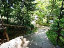 【東京都/新宿区下落合】オープンレジデンシア目白avenue おとめ山公園（現地より約600m）