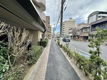 【東京都/江東区猿江】パーク・ノヴァ猿江恩賜公園 前面道路