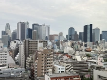 【東京都/新宿区百人町】西戸山タワーホウムズサウスタワー 眺望