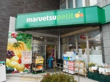 【東京都/新宿区中落合】メゾンセゾン落合 マルエツプチ下落合駅前店（現地より約390m）