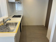 【東京都/武蔵野市緑町】武蔵野ガレリアルーチェテラッツァ キッチン