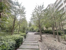 【東京都/三鷹市下連雀】アデニウム吉祥寺 敷地内